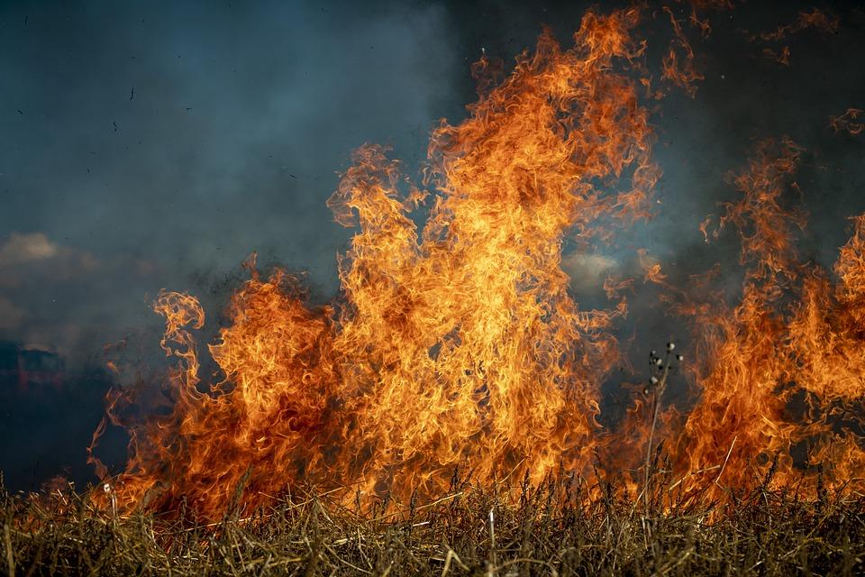 Фото В Новосибирской области мужчина погиб в огне пожара в поселке Посевное 2